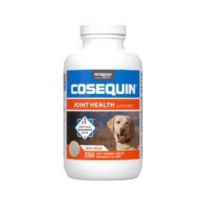 Cosequin Maximum Strength Plus MSM