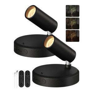 EZVALO Spotlights Indoor with Remote