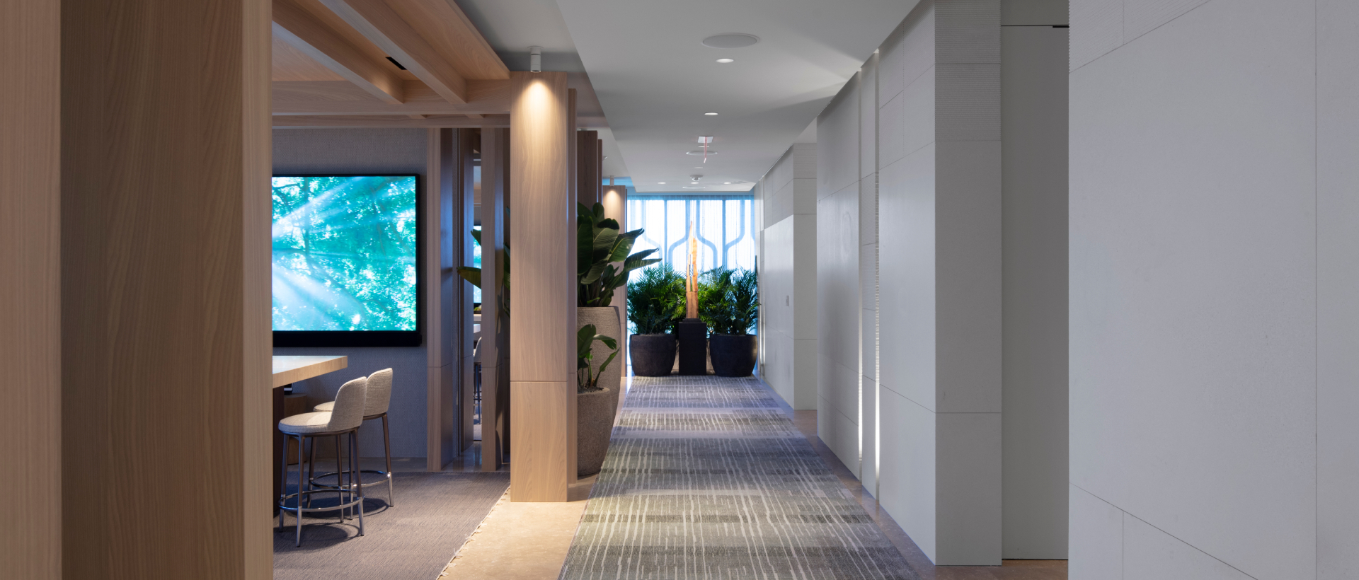 The Park at Ward Village