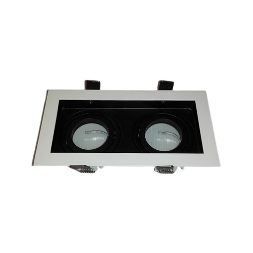 BW Twin Downlight Recessed Light downlight recessed light BW Twin black white fitting