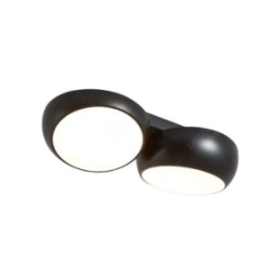 Ceiling Light Kitchen Bedroom Living Twin Lighting Black