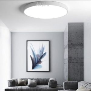 LED Ceiling Light Elemental RD White 48W3C