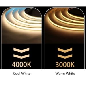 COB LED Strip Light 24V 5m/Roll
