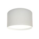 White round LED ceiling light with cylindrical design, surface mounted, 22W built-in LED, warm white or cool white, modern home lighting