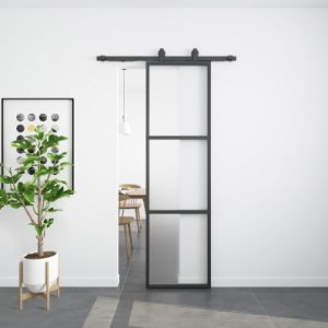 Frosted Glass Barn Door