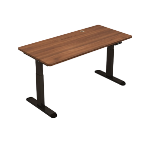 Adjustable Electric Table Standing Desk