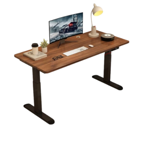 Adjustable Electric Table Standing Desk