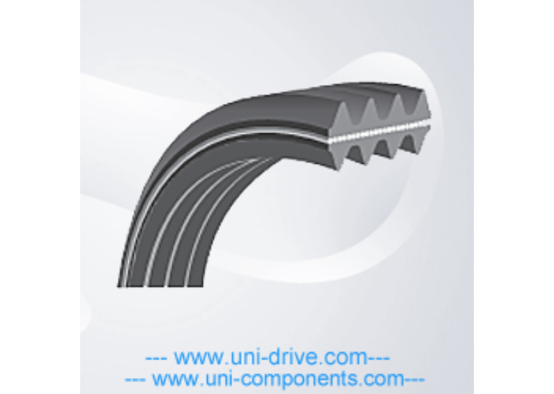 Double Sided Poly Ribbed-Belts