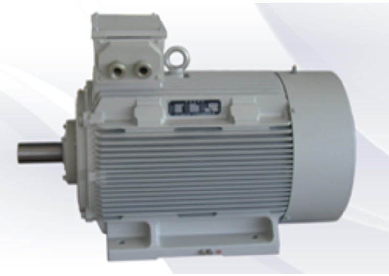 Standard Ac Induction Motor