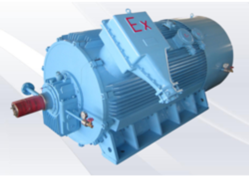 Explosion proof Motor