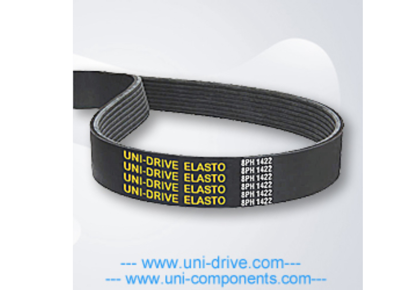 Elasticated Poly-Ribbed BELTS