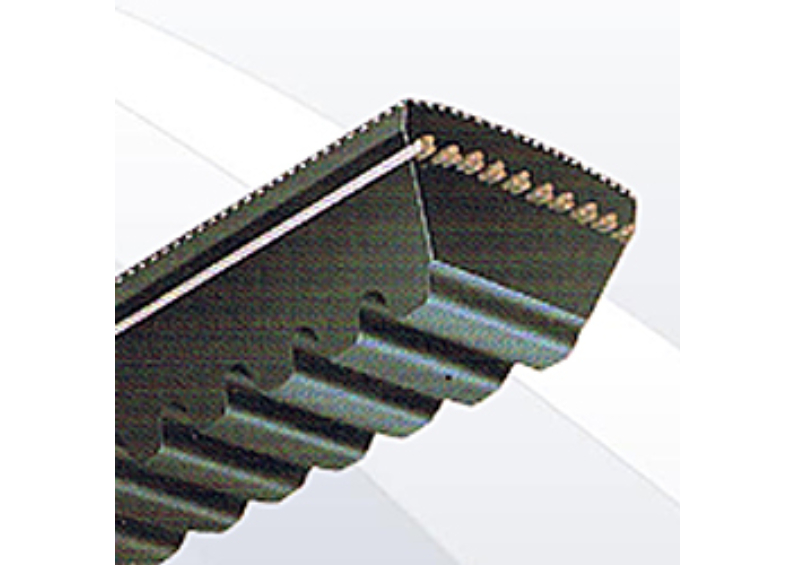 Cogged Belt Range