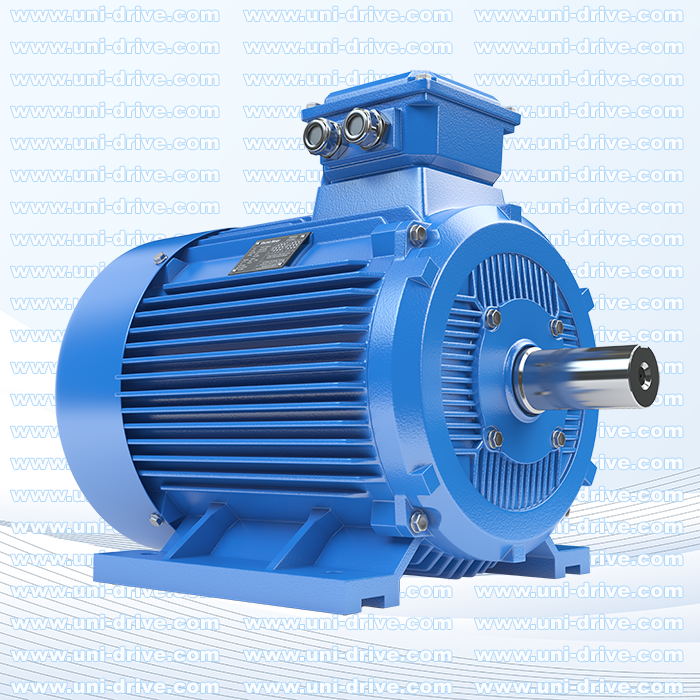 Electric Motor / Stainless Steel Mtr