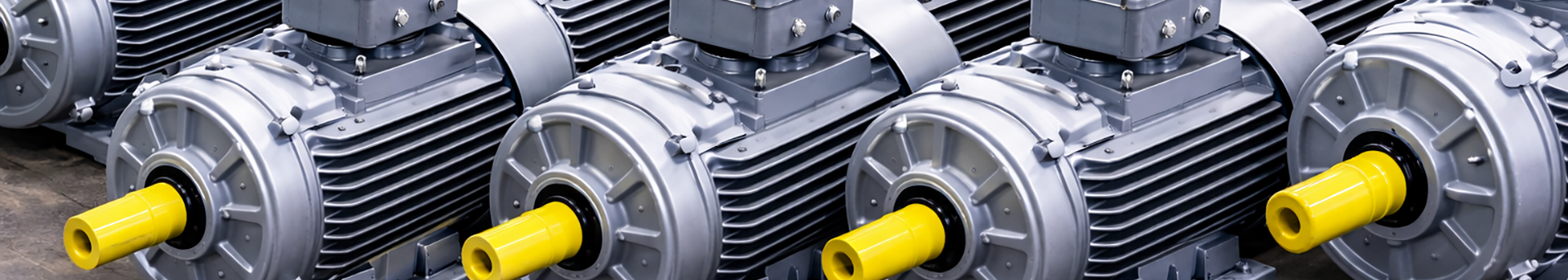 AC-DC-Stainless Steel Motor