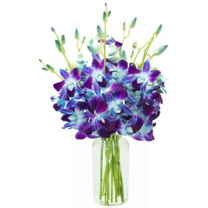 Exotic Sapphire Orchid Bouquet