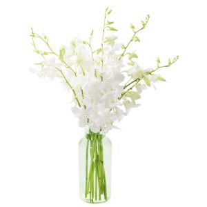 Exotic Perla White Orchid Bouquet