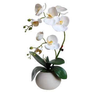 White Real Touch Orchid