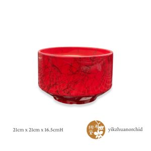 Red & Black Stockings