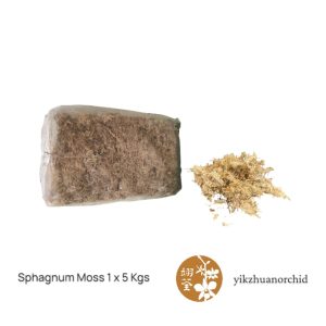 Sphahnum Moss 1 x 5 kgs
