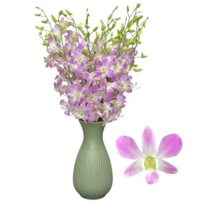 Cut Dend Lucian Pink